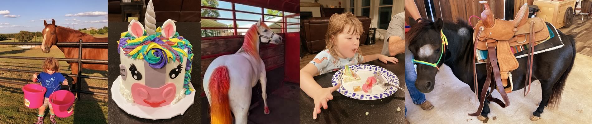 Pony Party in my area