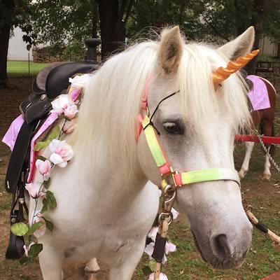 Birthday Parties Decatur Texas