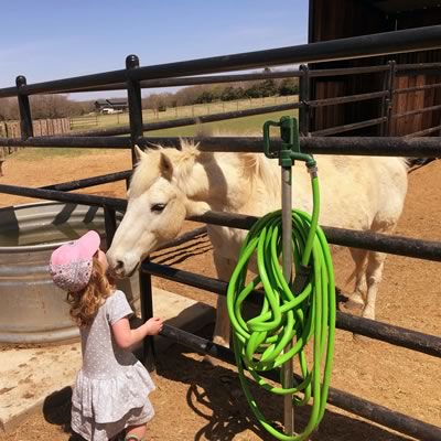 Riding Lessons Decatur Texas