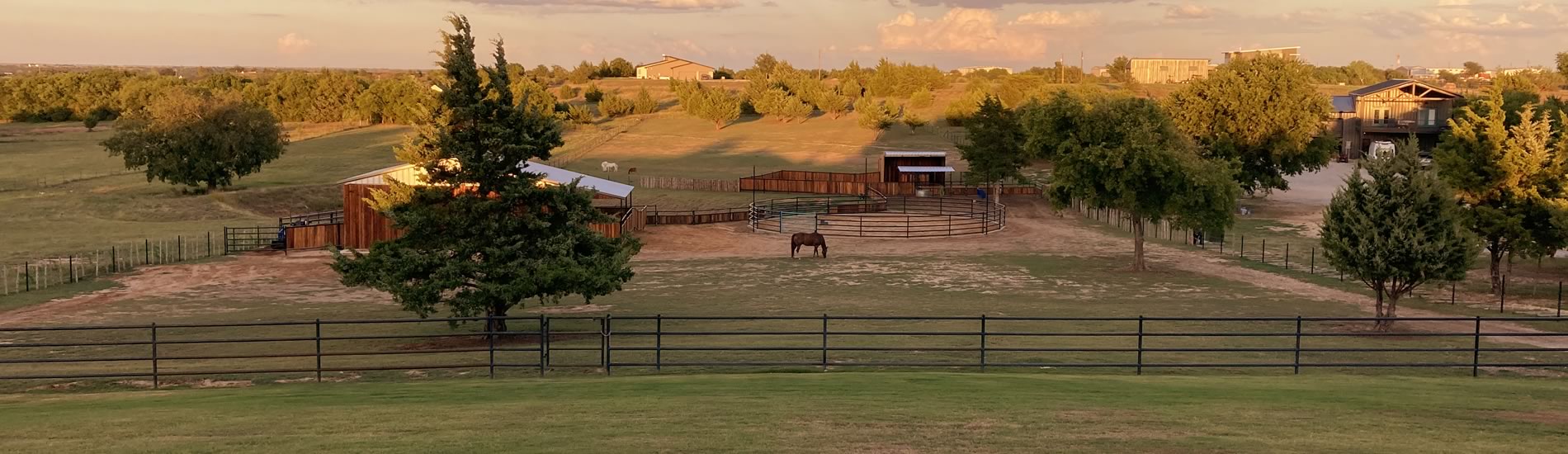 Pony Party Place in Texas