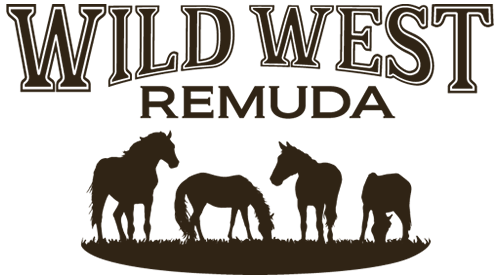 Pony Parties | Decatur, TX | Wild West Pony Party