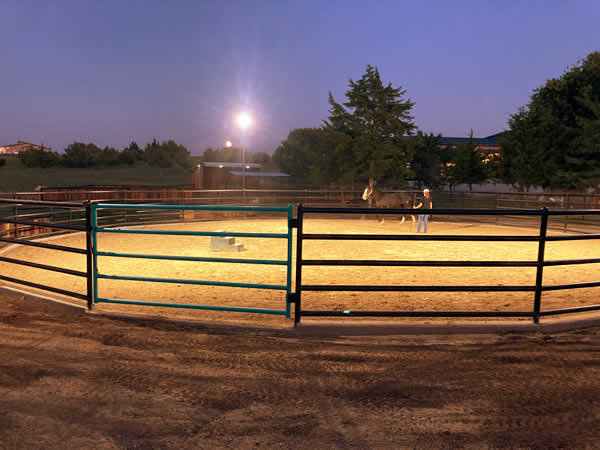 Wildwest Pony Party in Decatur Texas