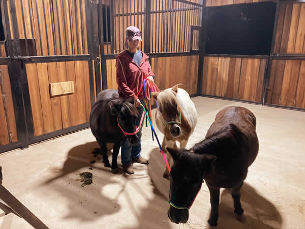 Wildwest Pony Party in Decatur Texas