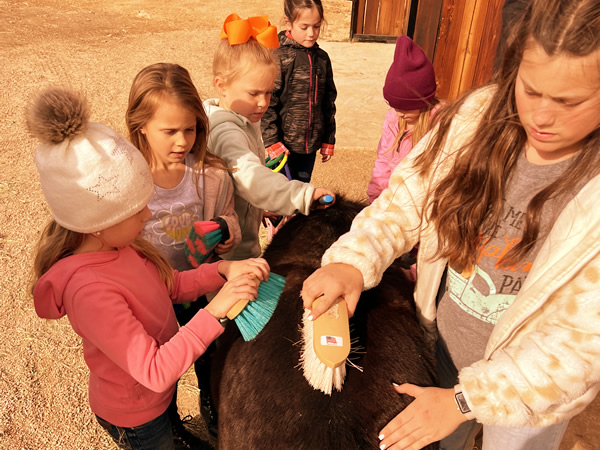 Wildwest Pony Party in Decatur Texas