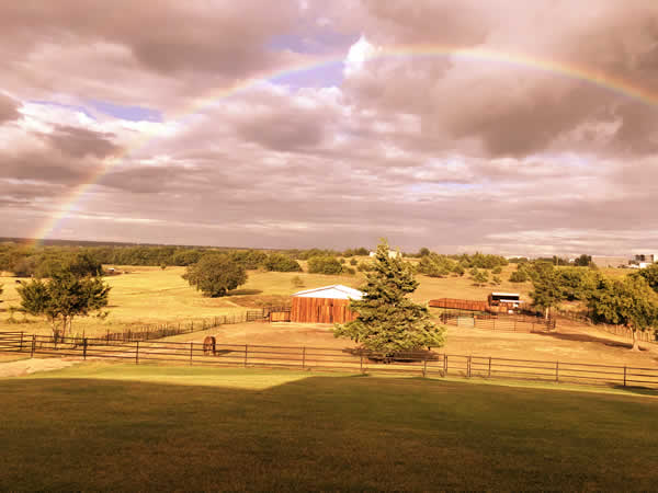 Wildwest Pony Party in Decatur Texas